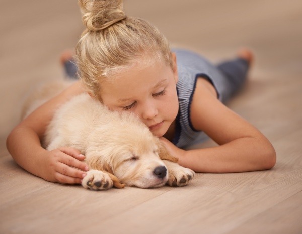 ID immagine 31205834