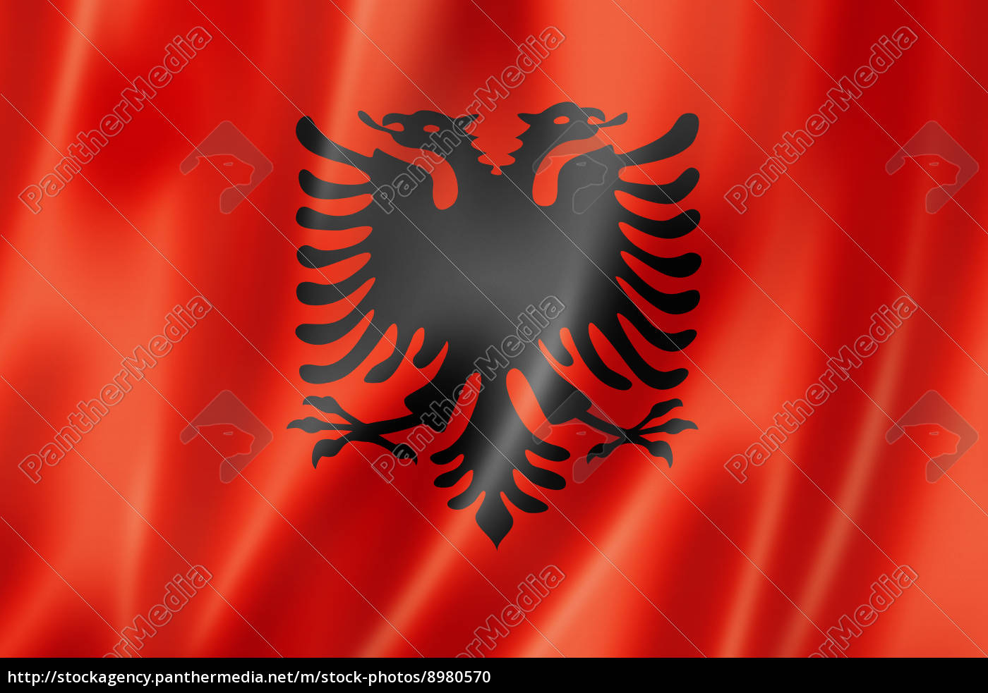 Bandiera albanese - Stockphoto #8980570