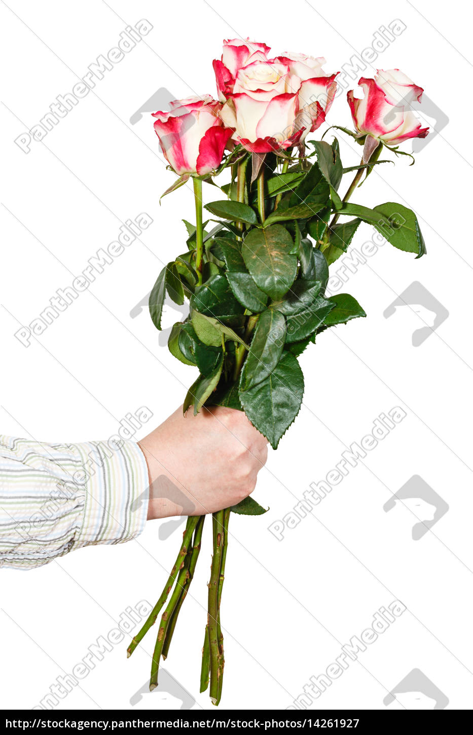 mazzo di rose rosa Stock Photo