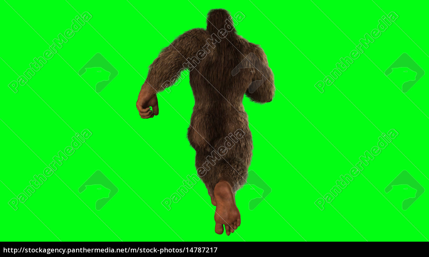 sfondo sasquatch