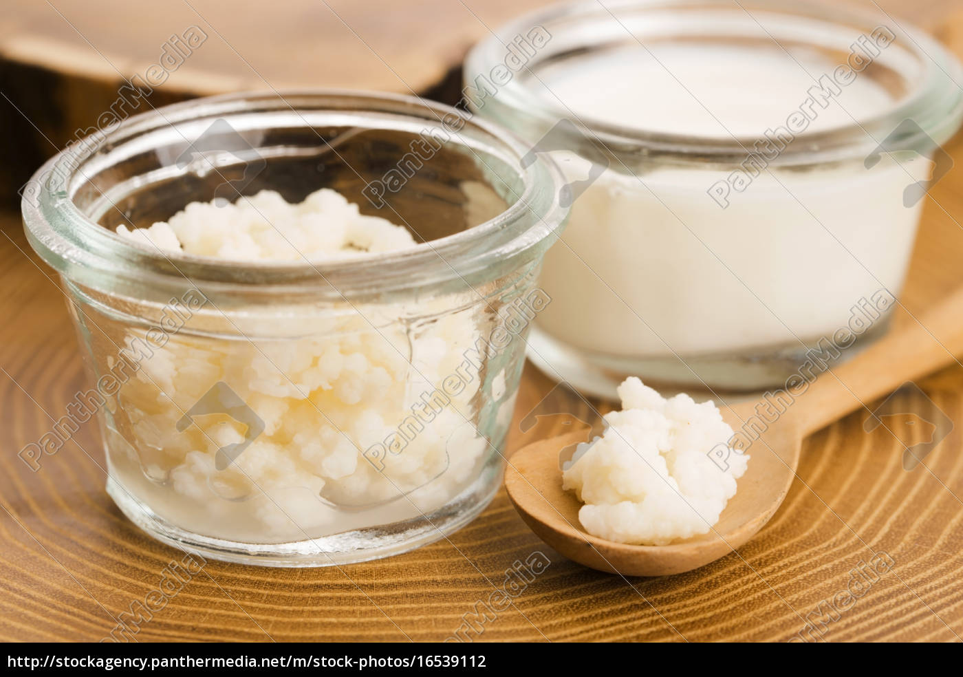 Grani di kefir di latte probiotici biologici - Stockphoto #16539112